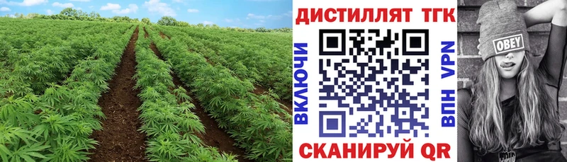 мега онион Завитинск Дистиллят ТГК вейп с тгк