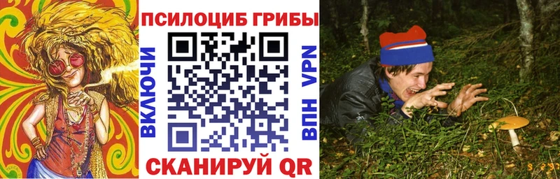 цены   Завитинск  Псилоцибиновые грибы GOLDEN TEACHER 